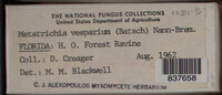 Image Associated With the Occurence